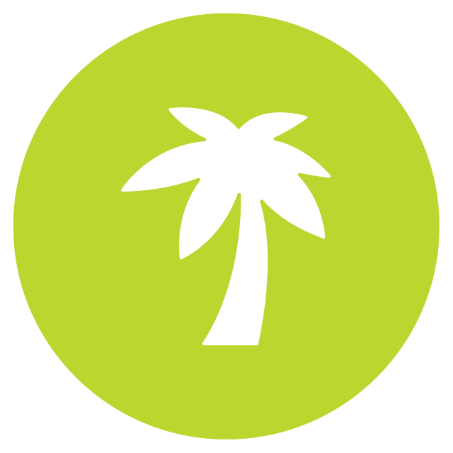 Palm Tree