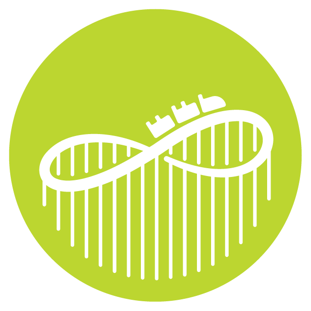 Roller Coaster