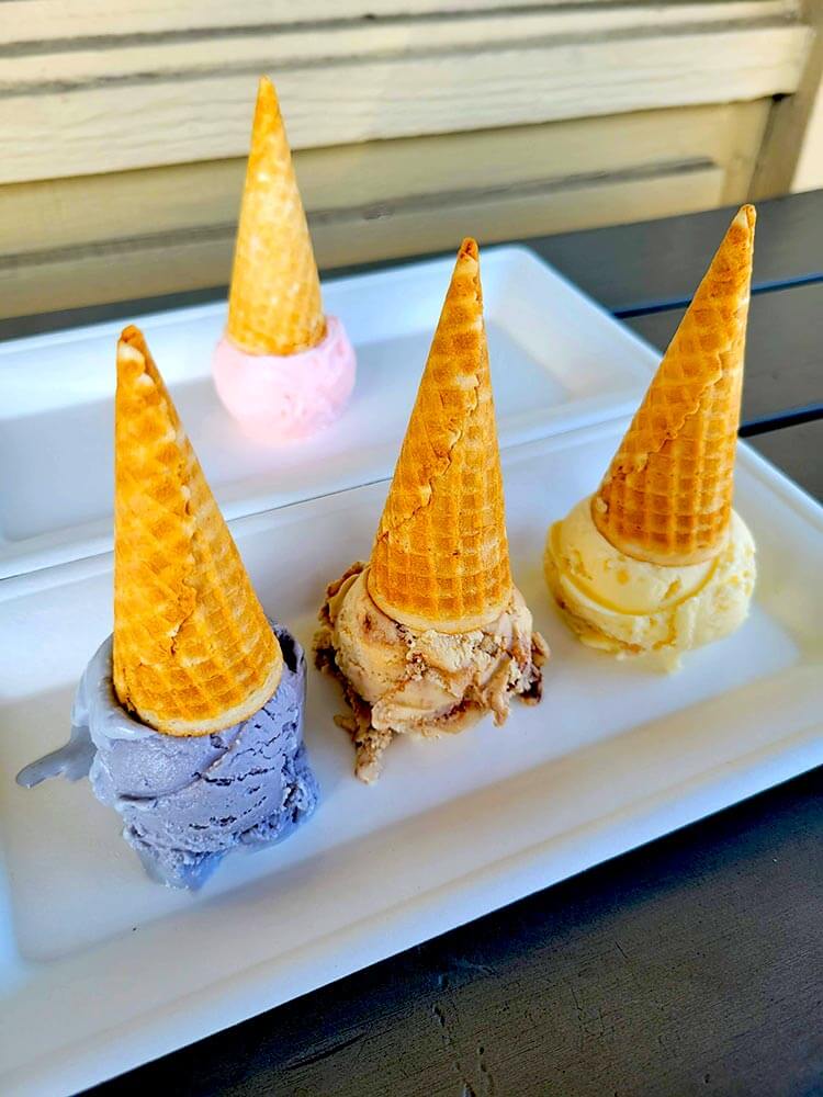 Ice Cream Flight | Hammond's