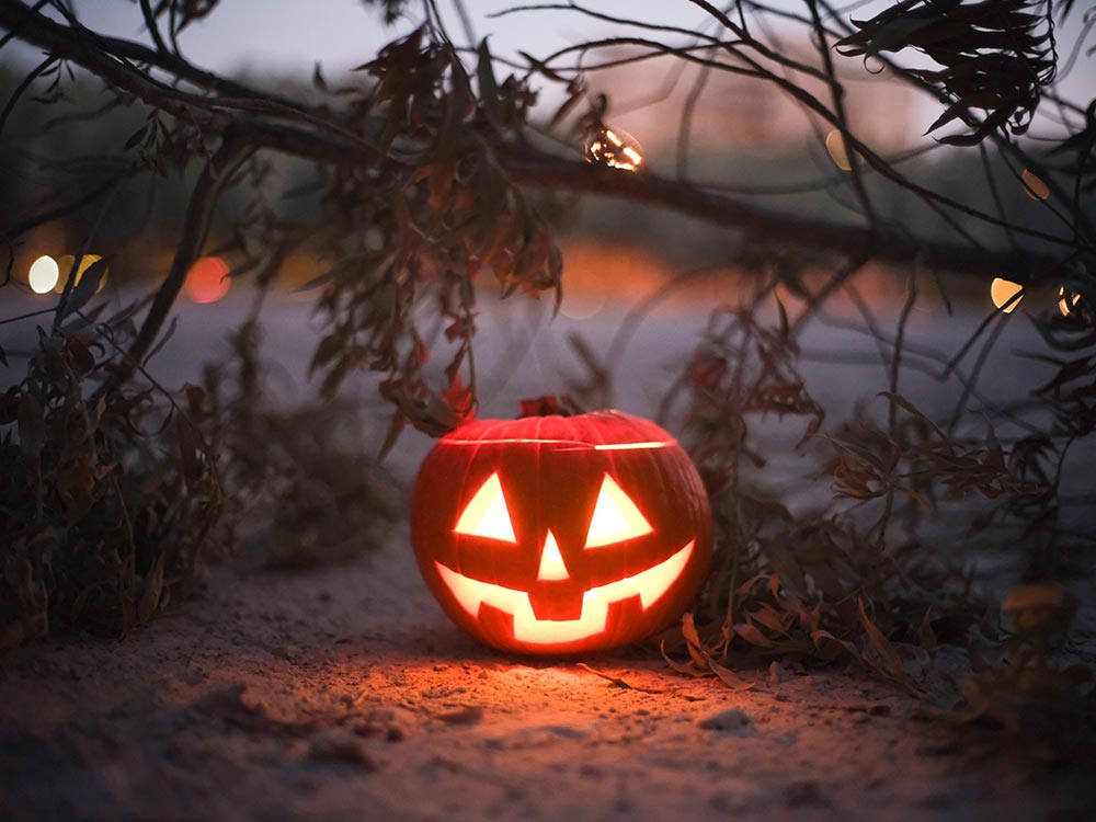 Jack o Lantern pumpkin lit up under some branches and on the ground