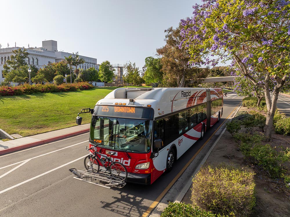 MTS Bus driving on the street with a flowering tree on the right and a grassy area on the left