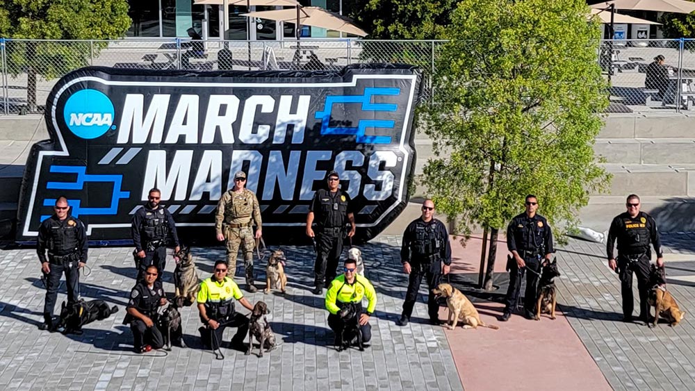 K-9's Aska and Tempest assisted with a multi agency sweep for March Madness at Viejas Arena with the San Diego State University Police Department