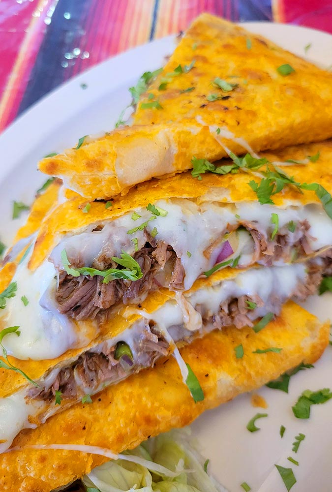 Quesadilla filled with birra on a plate