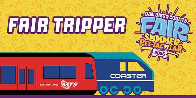 Discounted Fair Admission plus a Transit Pass