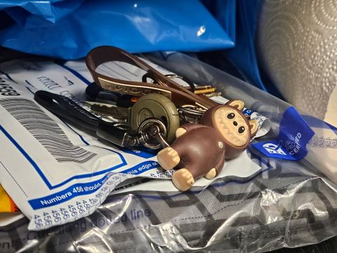 Lost Keys