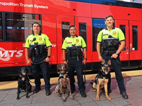 MTS K-9 Team