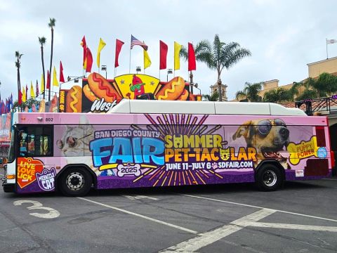 MTS Bus wrapped in Summer Pet-Tacular for the San Diego County Fair.