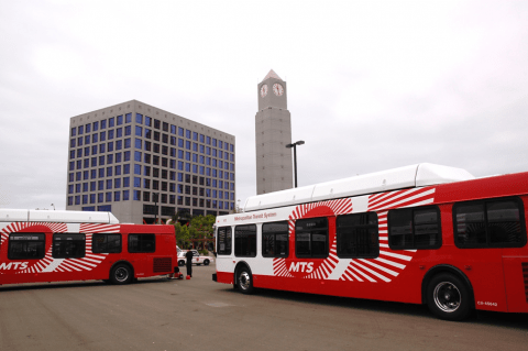 MTS Buses