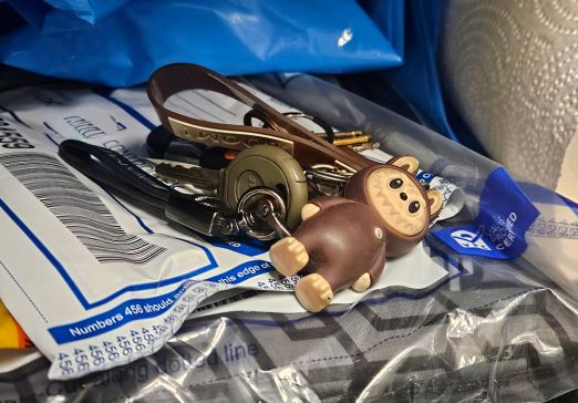 Lost Keys