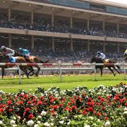 Del Mar Races
