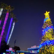 The Holidays in San Diego